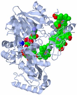 Image Biological Unit 1