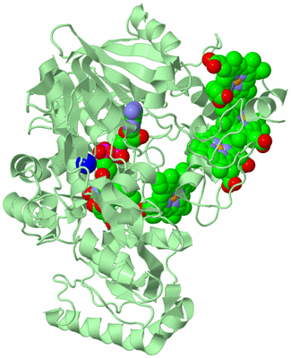 Image Biological Unit 2