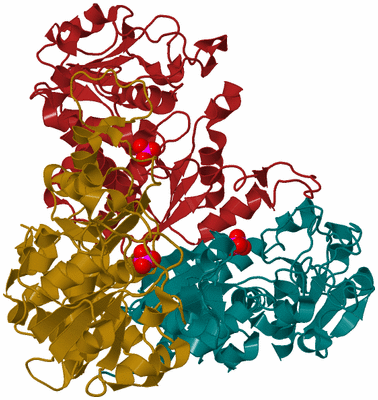 Image Asym./Biol. Unit