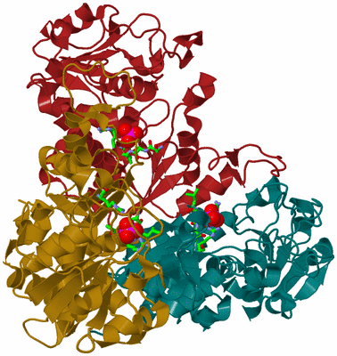 Image Asym./Biol. Unit - sites