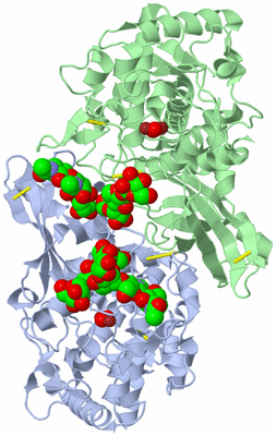 Image Asymmetric Unit