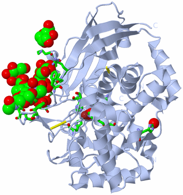 Image Biol. Unit 1 - sites