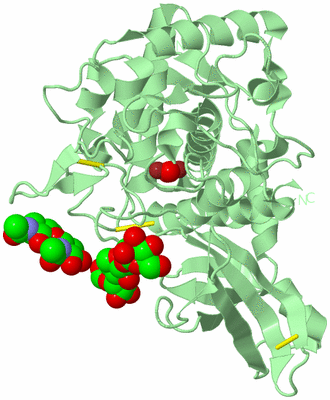 Image Biological Unit 2
