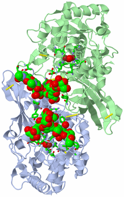 Image Asym. Unit - sites