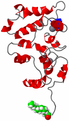 Image NMR Structure - model 1