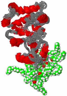 Image NMR Structure - all models