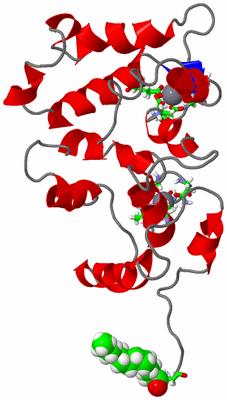 Image NMR Structure - model 1, sites