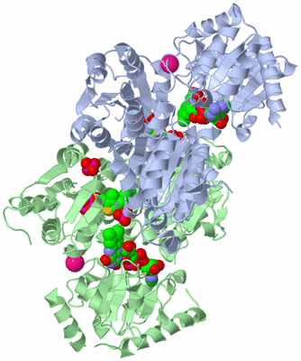 Image Asym./Biol. Unit