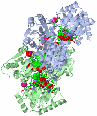 Image Asym./Biol. Unit - sites