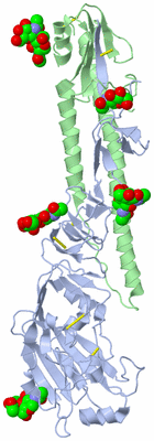 Image Asymmetric Unit