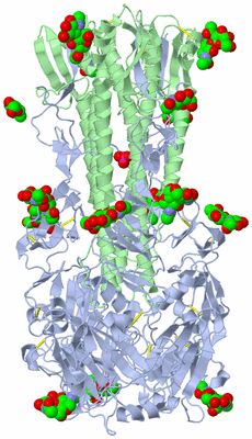 Image Biological Unit 2