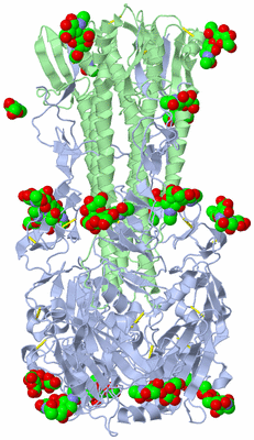 Image Biological Unit 2