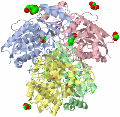 Image Asym./Biol. Unit