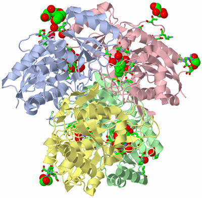 Image Asym./Biol. Unit - sites