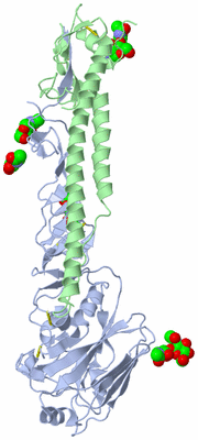 Image Biological Unit 1