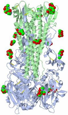 Image Biological Unit 2