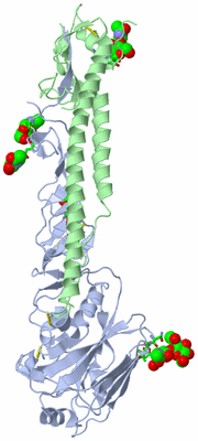 Image Asym. Unit - sites