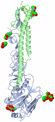 Image Biological Unit 1