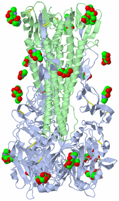 Image Biological Unit 2