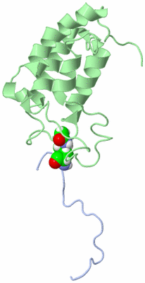 Image NMR Structure - model 1