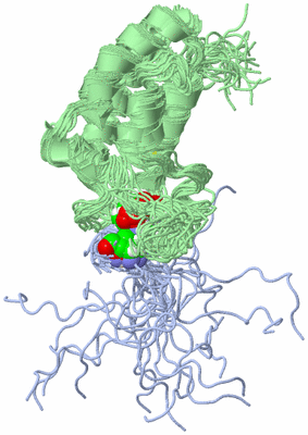 Image NMR Structure - all models