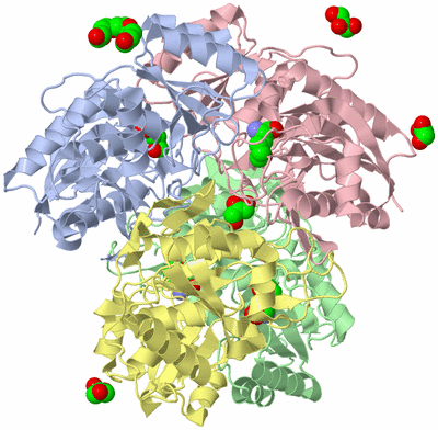 Image Asym./Biol. Unit