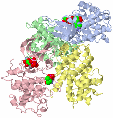 Image Biological Unit 1