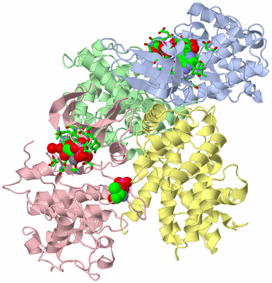 Image Biol. Unit 1 - sites