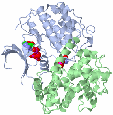 Image Biological Unit 2