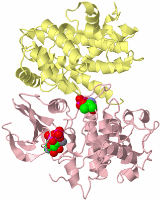 Image Biological Unit 3