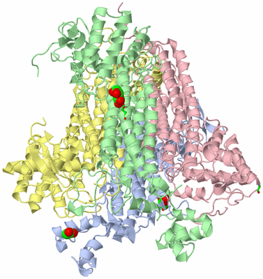 Image Asym./Biol. Unit - sites