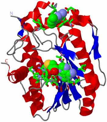 Image Asym./Biol. Unit - sites