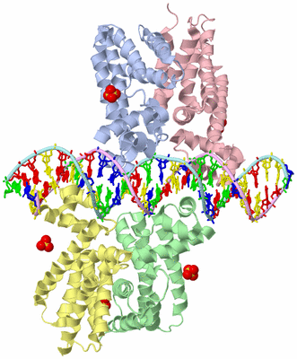 Image Asym./Biol. Unit