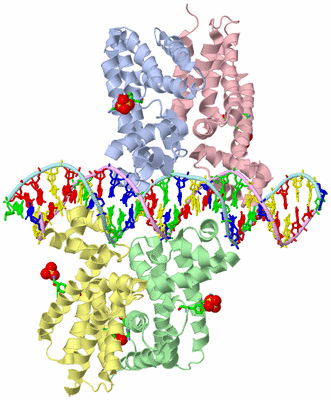 Image Asym./Biol. Unit - sites