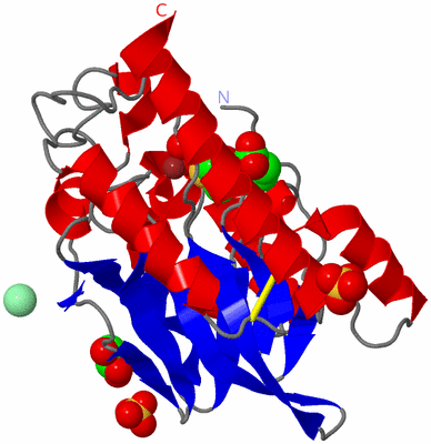 Image Asym./Biol. Unit