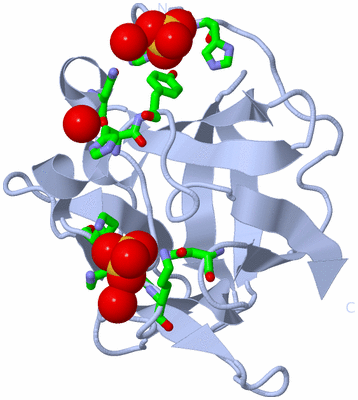 Image Biol. Unit 1 - sites