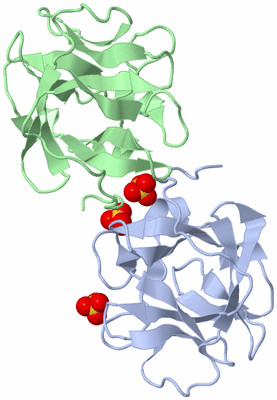 Image Biological Unit 3