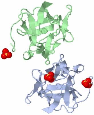 Image Biological Unit 4