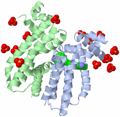 Image Biological Unit 1