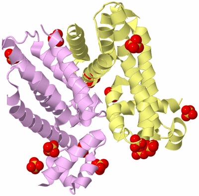 Image Biological Unit 2