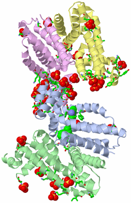 Image Asym. Unit - sites