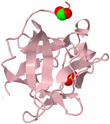 Image Biological Unit 3