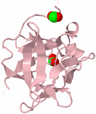 Image Biological Unit 3