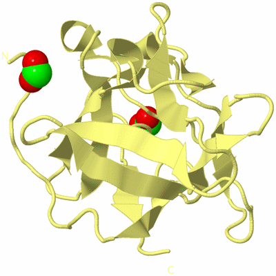 Image Biological Unit 4