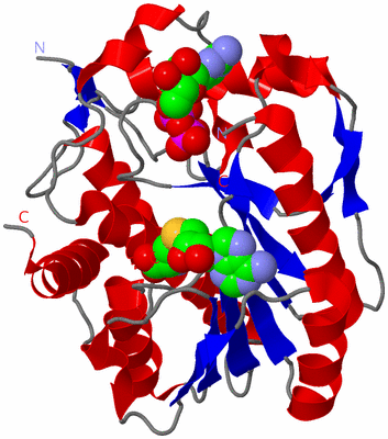 Image Asym./Biol. Unit