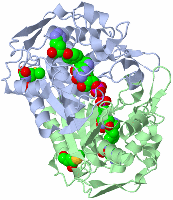 Image Asym./Biol. Unit