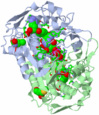 Image Asym./Biol. Unit - sites