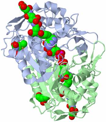 Image Asym./Biol. Unit