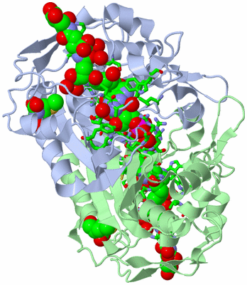 Image Asym./Biol. Unit - sites