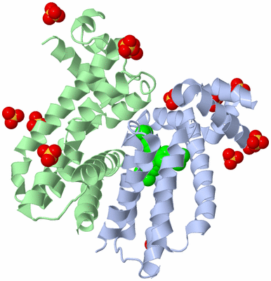 Image Biological Unit 1